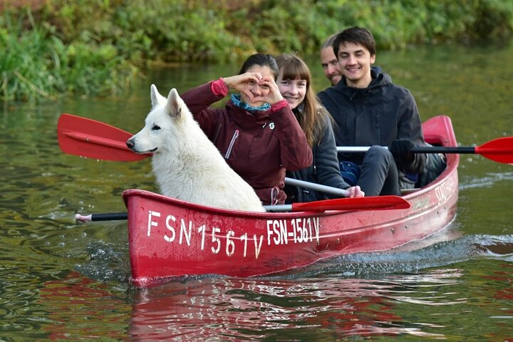 Experience Image img3