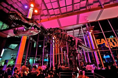 NightLife at California Academy of Sciences (21+)