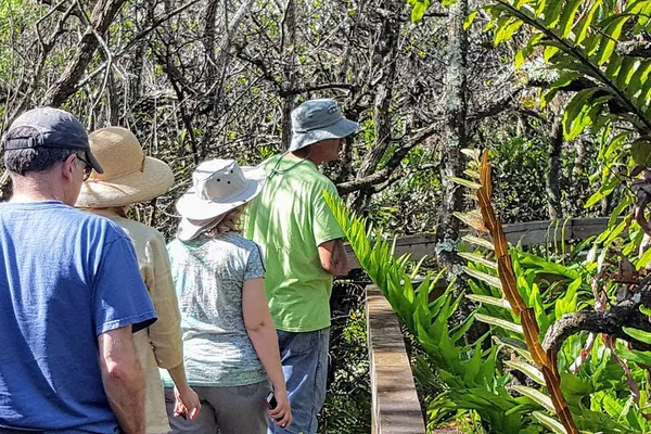 Uncover Everglades' Hidden Gems: A Naturalist-Led Boat & Walking Tour