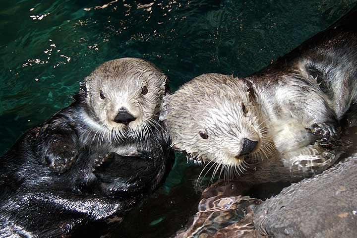 Experience Image img3