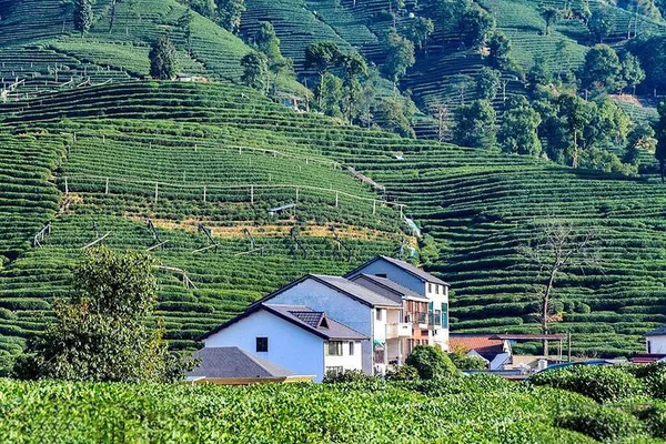 Hangzhou: Private Bullet Train Tour from Shanghai