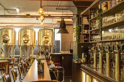 Eindhoven's Craft Beer Adventure: A Self-Guided City Tour!