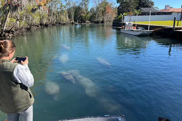 Kings Bay Eco-Tour: A Personalized Manatee Adventure!