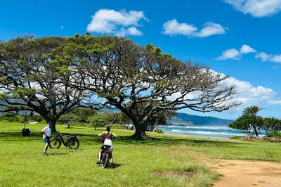 North Shore E-Bike Tour: See Haleiwa's Hidden Gems