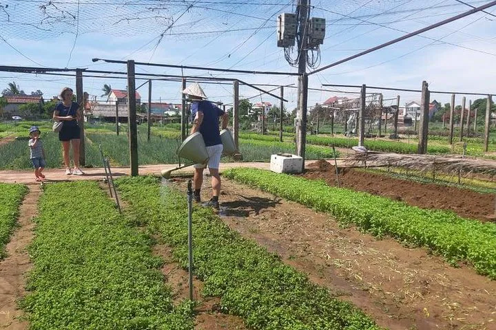 img0
