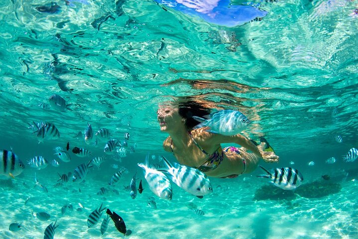 Phuket's Coral Island Adventure: Snorkel, Swim & Explore in Paradise!
