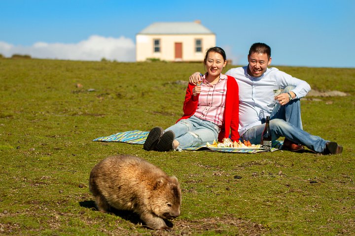 Wineglass Bay & Maria Island Flight
