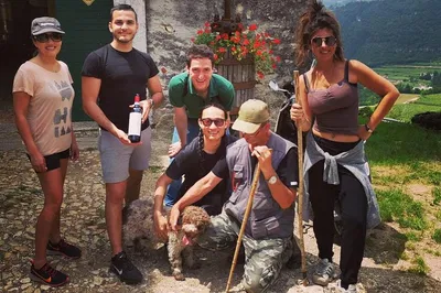 Truffle Hunt & Wine: Verona's Hidden Flavors!