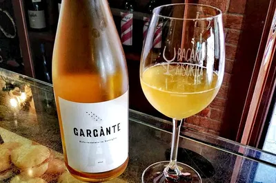 Venice Uncorked: Natural Wine Tasting Adventure with a Bacaro Insider!
