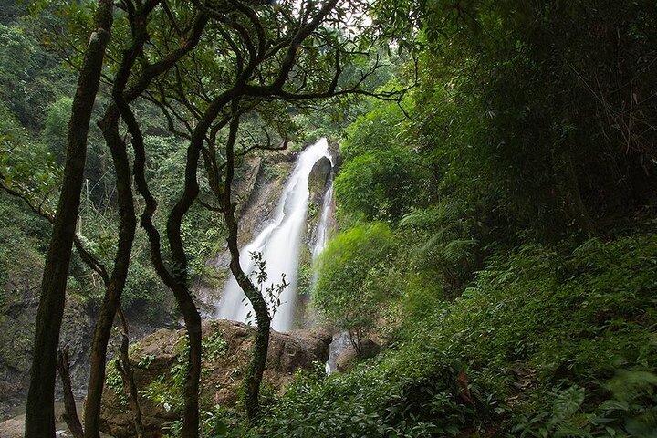 Thailand's Nature and Culture Immersion: A Day of Exploration and Discovery