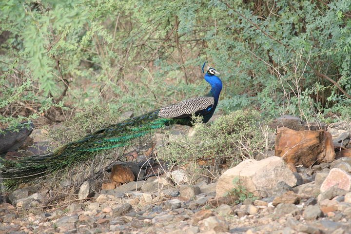 Experience Image img1