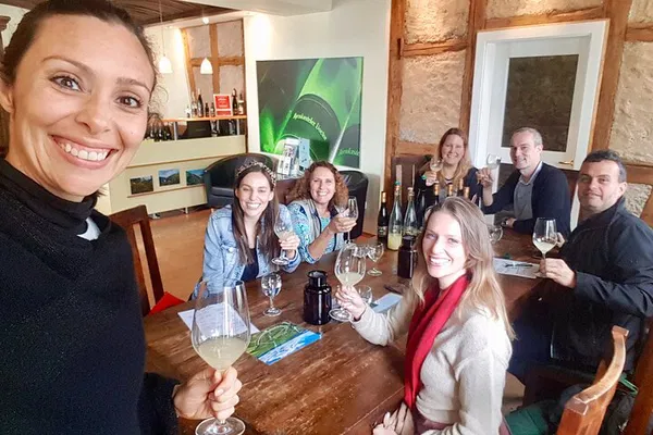 Uncork the Rheingau: Small-Group Wine Tour with Castles & Abbeys