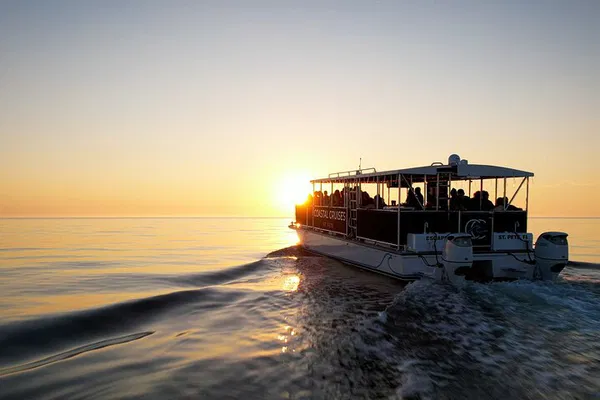 St. Pete Sunset & Dolphin Cruise: A Coastal Dream