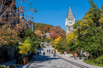 Montreal Cruise Port Private Tour: Unveiling City's Charms