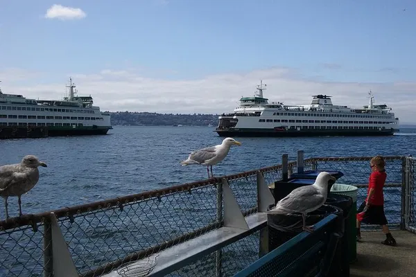 Seattle Private Tour: See the City Your Way!