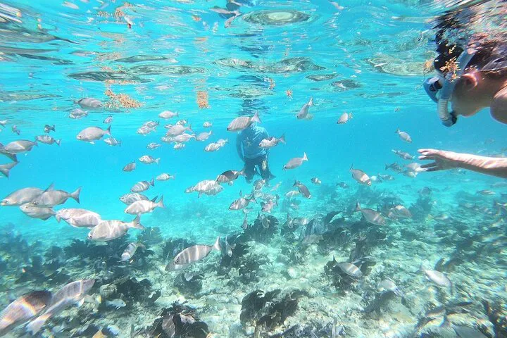 img0