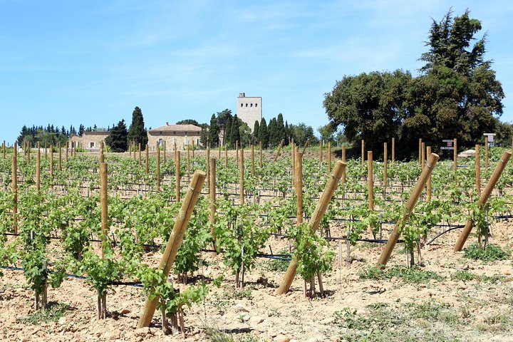 Experience Image img3