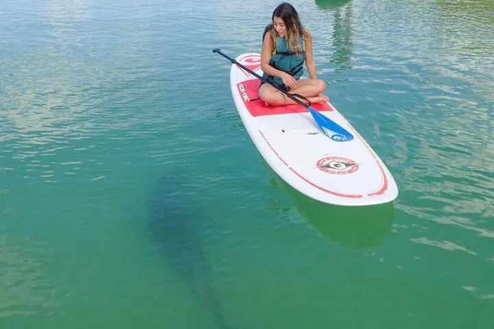 img0