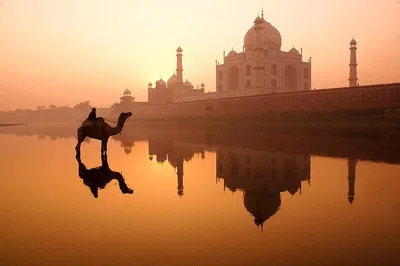 Delhi & Agra 1-Night Tour: Taj Mahal, Fort & More