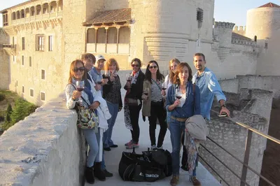 Madrid Wine & History: Medieval Castles & Winery Tour with Tasting
