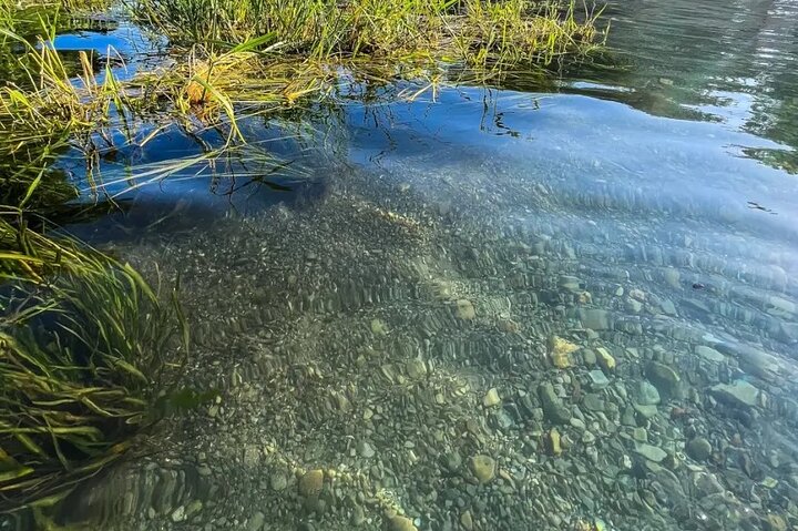 Experience Image img2