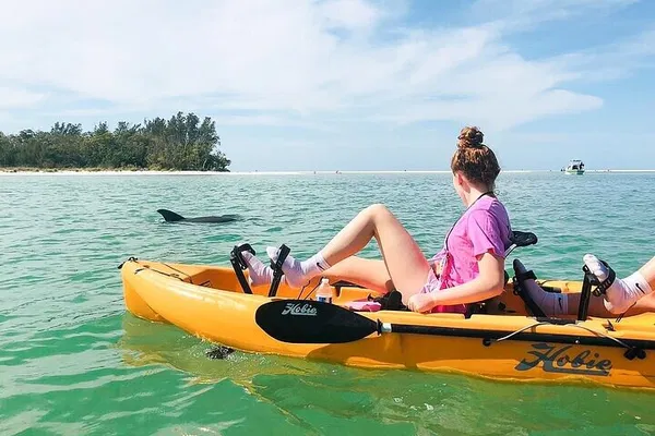 Pedal Kayak Tour: Marco Island Mangrove Tunnels!