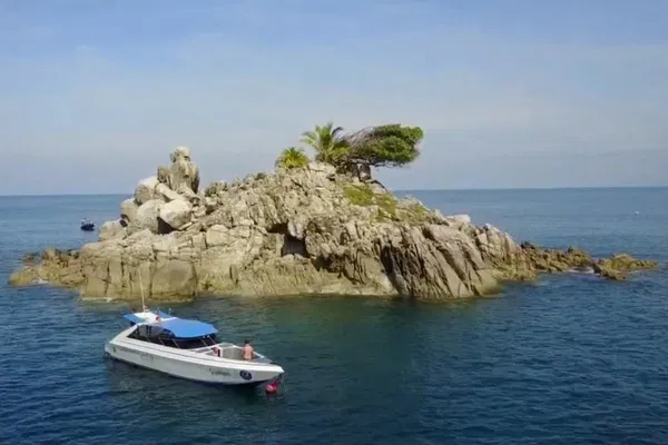 Nai Yang Reef Dives: Certified Divers Half-Day