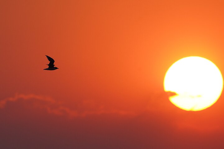 Experience Image img2