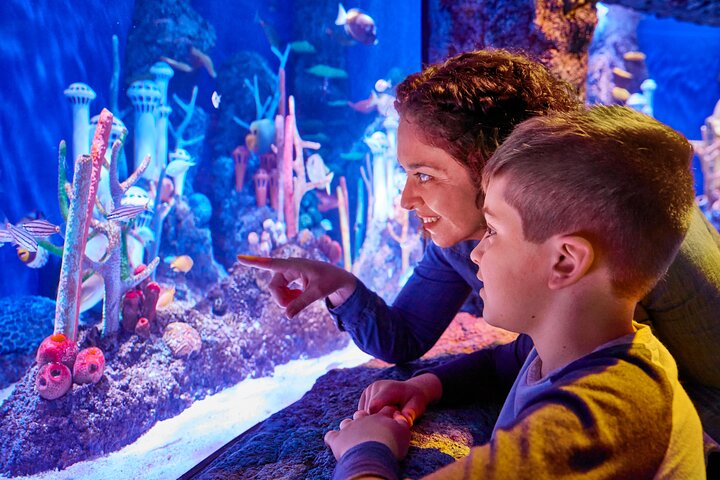 Dive into Wonder: Explore SEA LIFE New Jersey's Aquatic Adventures!