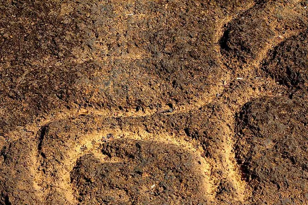 Goa's Rock Art & Bubble Lake Tour with Lunch