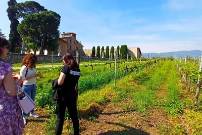 Unveiling Brescia & Franciacorta: A Cinematic Wine Escape from Milan