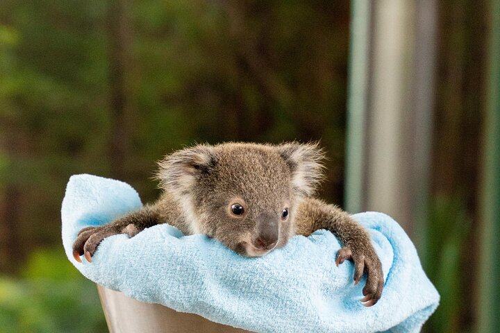 Experience Image img2