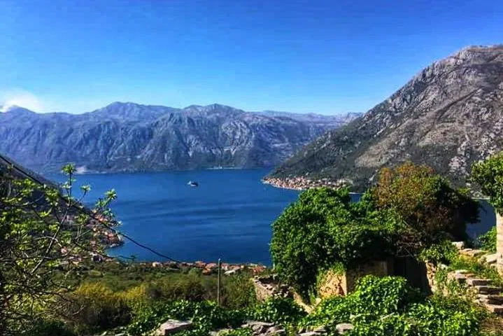 img0