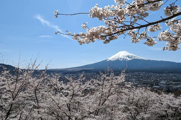 Unforgettable Mt. Fuji Private Tour: Discover Japan's Iconic Beauty
