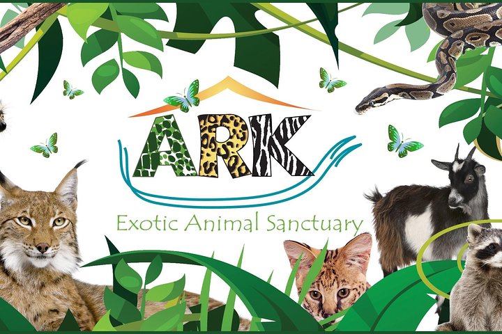 Experience Image img1