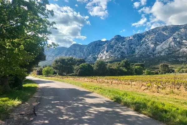 Uncork Provence: A Local's Wine & Culture Day Trip