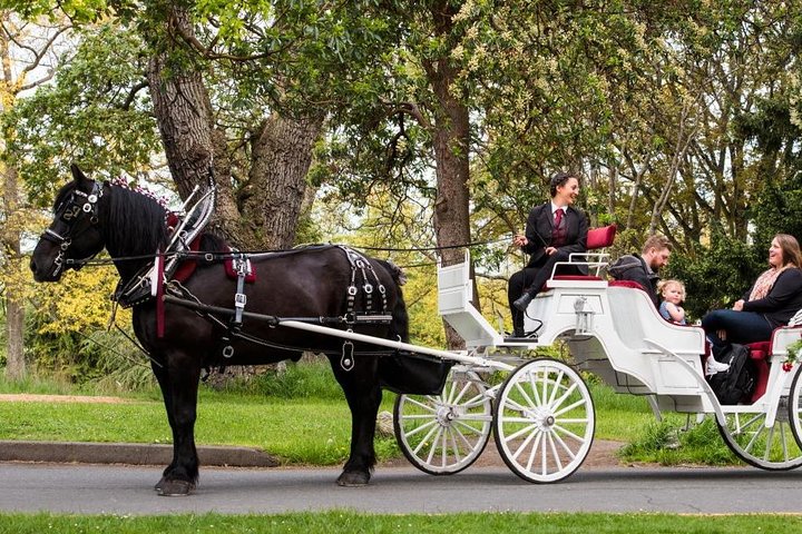 Beacon Hill Park Horse Carriage Ride: Victoria's Charm