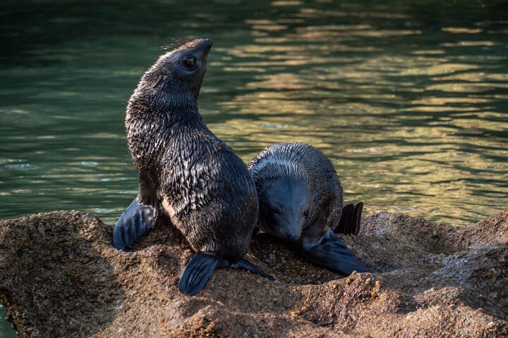 Experience Image img3