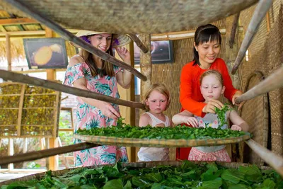 Unravel Hoi An's Silk Secrets: A Weaving & Sericulture Adventure