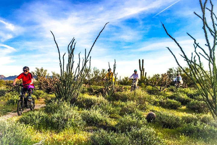 Experience Image img2