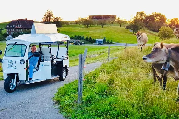 Lucerne City Tour: Uncover Hidden Gems with a Local!