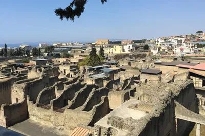 Uncover Herculaneum's Secrets & Vesuvius Wines: A Sorrento Guided Tour