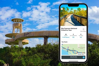 Unlock Big Cypress: An Immersive Audio Adventure