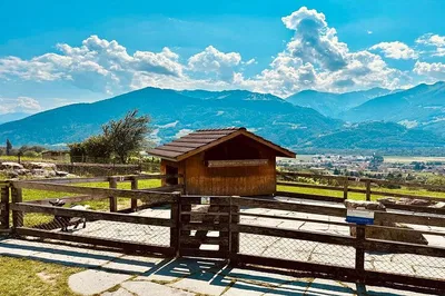 Enchanting Heidi World Family Day: A Private Swiss Adventure from Zurich