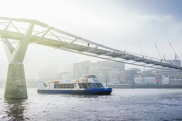 Thames Cruise: See London's Top Sights!