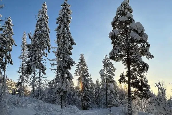 Oslo's Winter Wonderland: Snowshoe to Scenic Heights
