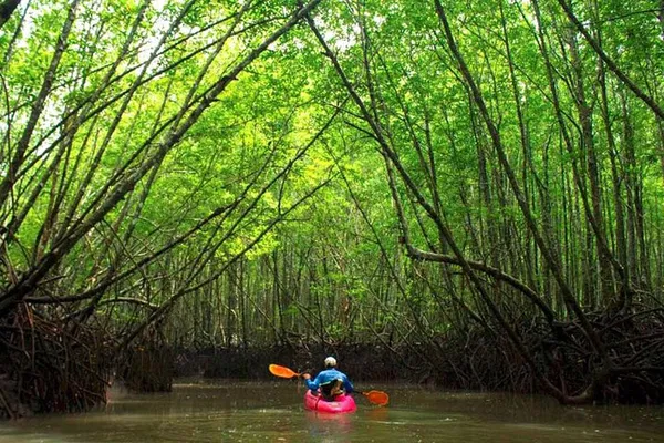 Krabi's Uncrowded Kayak Adventure: Mangrove & Canyon Exploration