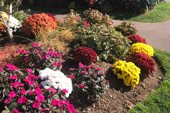 Experience Image img2