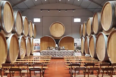 Savor Sicily: Marsala Wine Tasting in a Historic Cellar