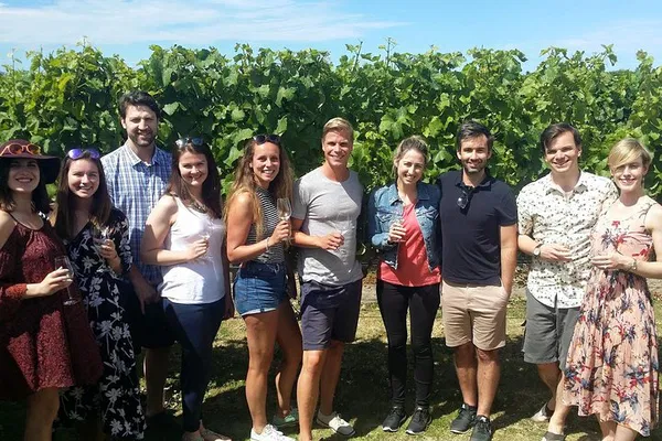 Discover Marlborough's Finest: Half-Day Wine & Beer Tour Adventure
